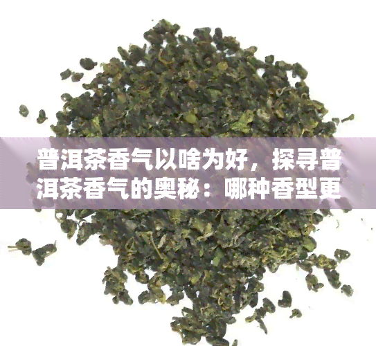 普洱茶香气以啥为好，探寻普洱茶香气的奥秘：哪种香型更受欢迎？