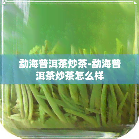 勐海普洱茶炒茶-勐海普洱茶炒茶怎么样