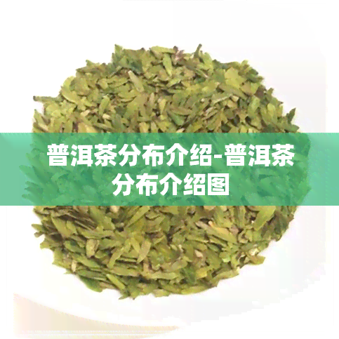 普洱茶分布介绍-普洱茶分布介绍图