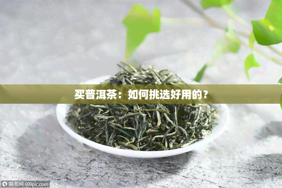 买普洱茶：如何挑选好用的？