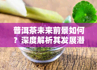 普洱茶未来前景如何？深度解析其发展潜力与市场趋势