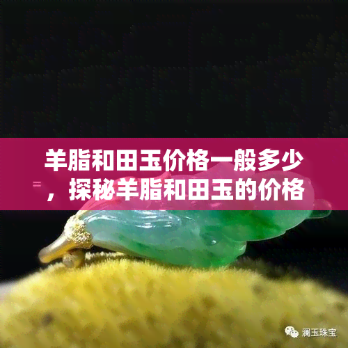 羊脂和田玉价格一般多少，探秘羊脂和田玉的价格：一般多少钱？