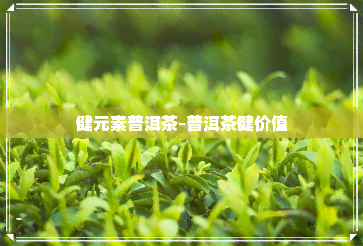 健元素普洱茶-普洱茶健价值