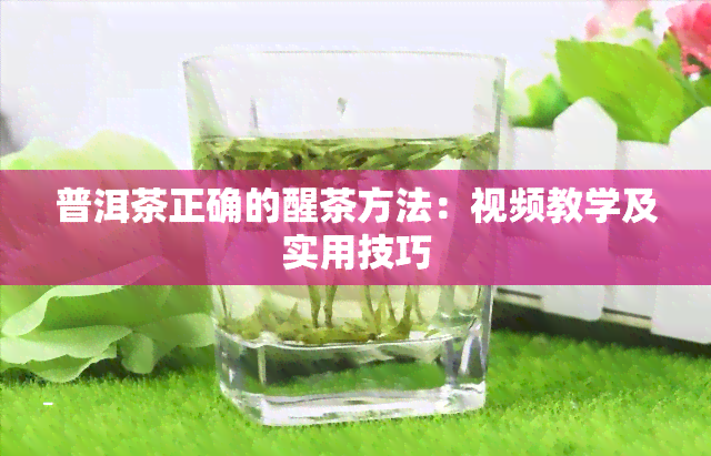 普洱茶正确的醒茶方法：视频教学及实用技巧