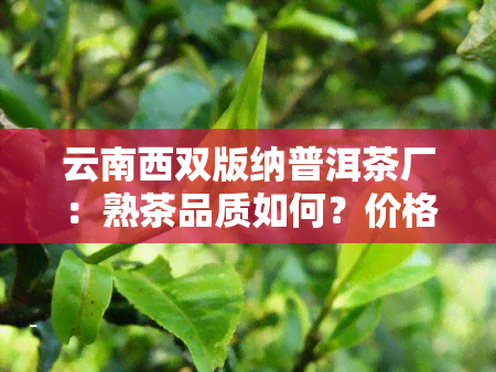 云南西双版纳普洱茶厂：熟茶品质如何？价格查询及公司介绍