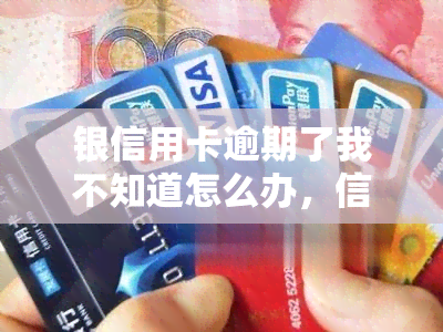 银信用卡逾期了我不知道怎么办，信用卡逾期处理指南：当您不知道如何应对时，这些步骤可能有所帮助