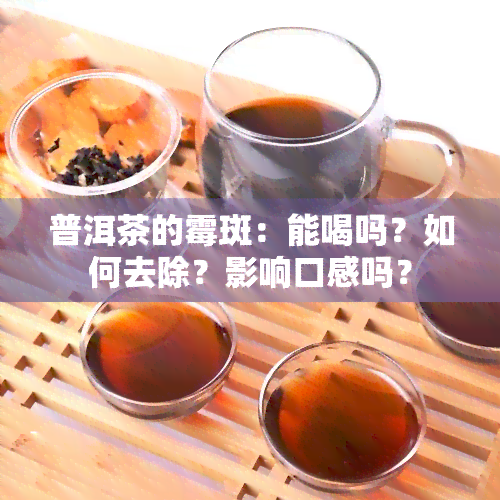 普洱茶的霉斑：能喝吗？如何去除？影响口感吗？