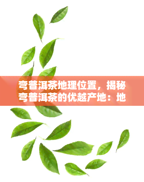 弯普洱茶地理位置，揭秘弯普洱茶的优越产地：地理位置的优势解析