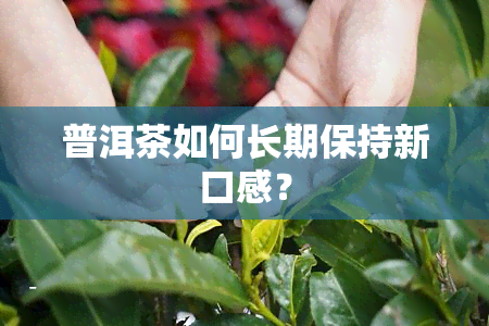 普洱茶如何长期保持新口感？