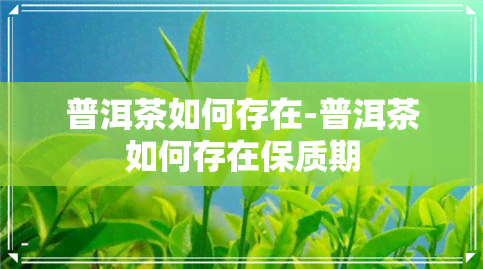 普洱茶如何存在-普洱茶如何存在保质期