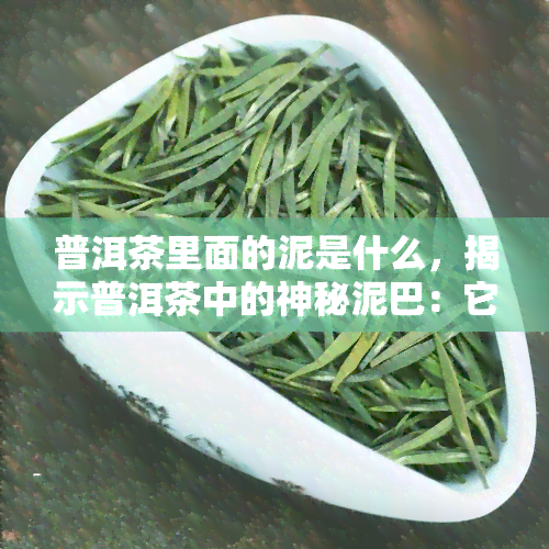 普洱茶里面的泥是什么，揭示普洱茶中的神秘泥巴：它究竟是什么？