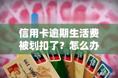 信用卡逾期生活费被划扣了？怎么办？逾期费用、利息全解析！