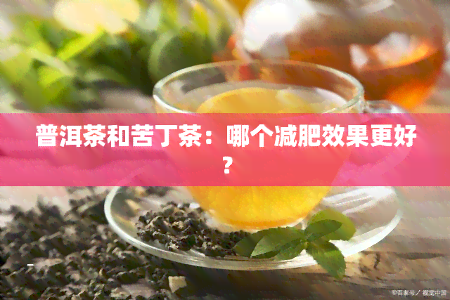 普洱茶和苦丁茶：哪个减肥效果更好？