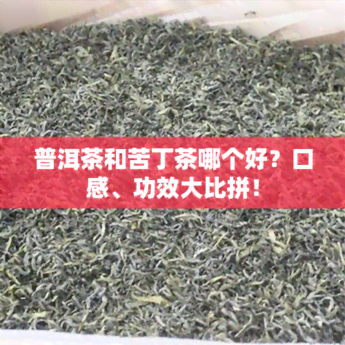 普洱茶和苦丁茶哪个好？口感、功效大比拼！