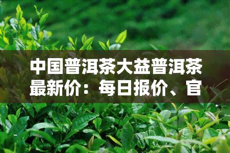 中国普洱茶大益普洱茶最新价：每日报价、官方价格表及市场行情