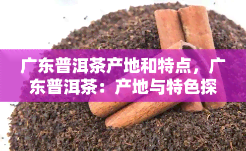 广东普洱茶产地和特点，广东普洱茶：产地与特色探秘