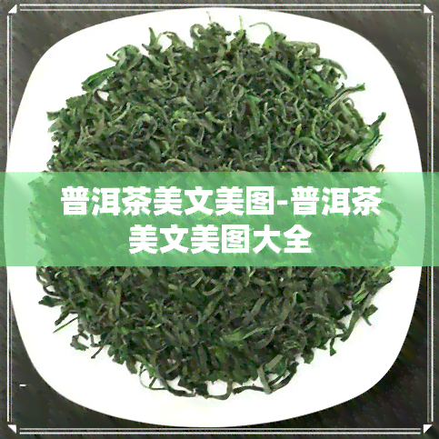 普洱茶美文美图-普洱茶美文美图大全