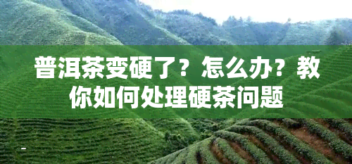 普洱茶变硬了？怎么办？教你如何处理硬茶问题