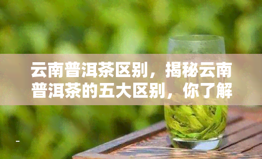 云南普洱茶区别，揭秘云南普洱茶的五大区别，你了解多少？