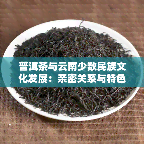 普洱茶与云南少数民族文化发展：亲密关系与特     分