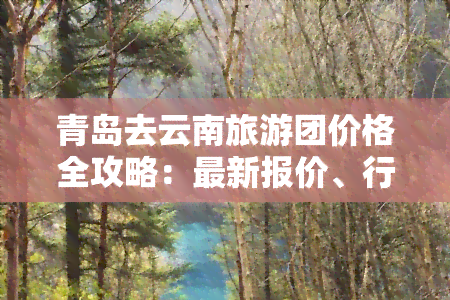 青岛去云南旅游团价格全攻略：最新报价、行程路线一览