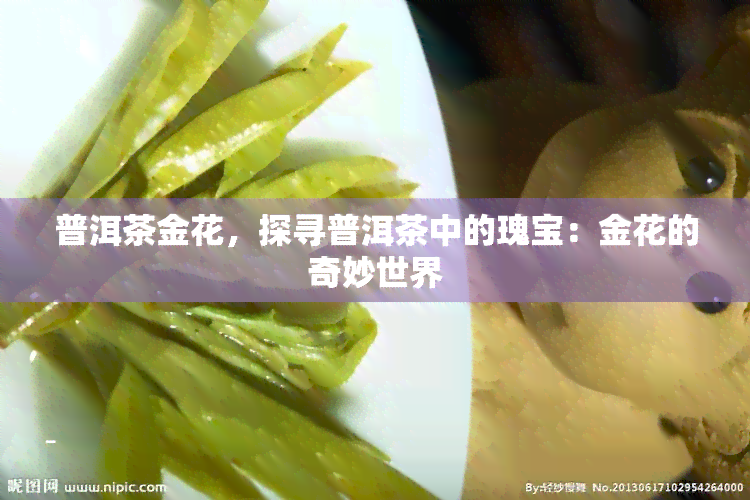 普洱茶金花，探寻普洱茶中的瑰宝：金花的奇妙世界