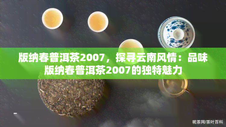 版纳春普洱茶2007，探寻云南风情：品味版纳春普洱茶2007的独特魅力