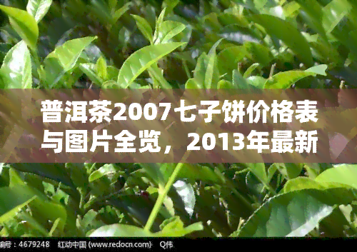 普洱茶2007七子饼价格表与图片全览，2013年最新行情