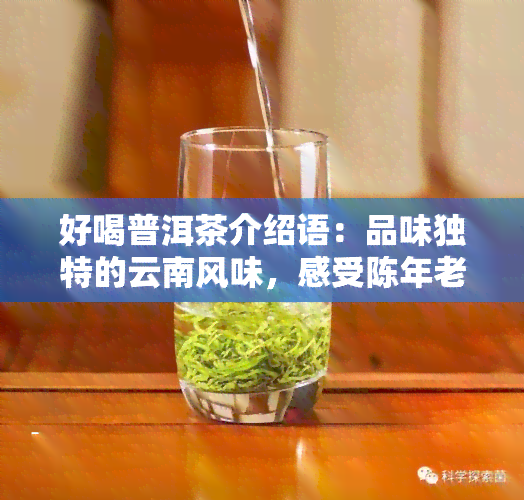 好喝普洱茶介绍语：品味独特的云南风味，感受陈年老茶的魅力。