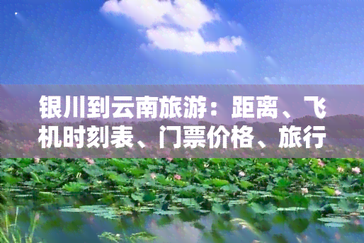 银川到云南旅游：距离、飞机时刻表、门票价格、旅行团信息及隔离政策