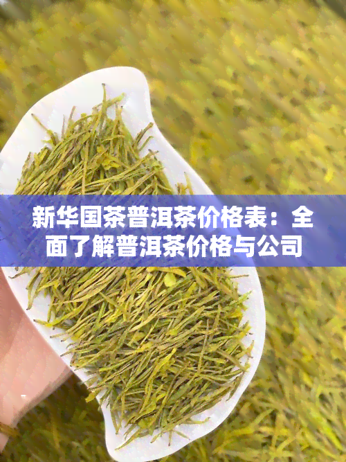 新     茶普洱茶价格表：全面了解普洱茶价格与公司信息