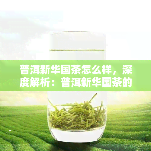 普洱新     茶怎么样，深度解析：普洱新     茶的实力与口碑