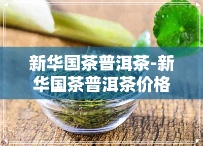 新     茶普洱茶-新     茶普洱茶价格