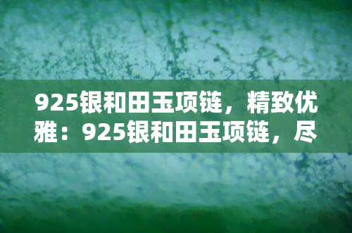 925银和田玉项链，精致优雅：925银和田玉项链，尽显女性魅力！