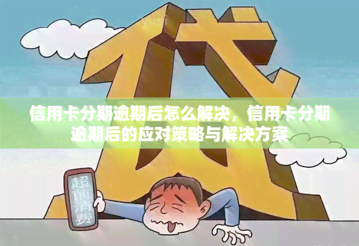 信用卡分期逾期后怎么解决，信用卡分期逾期后的应对策略与解决方案