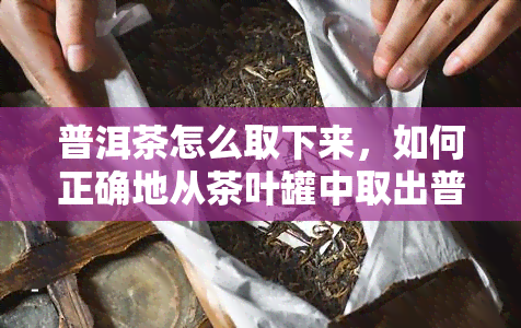 普洱茶怎么取下来，如何正确地从茶叶罐中取出普洱茶？