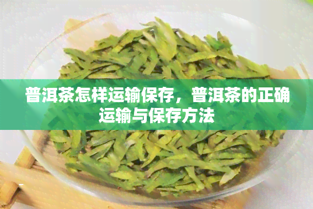 普洱茶怎样运输保存，普洱茶的正确运输与保存方法