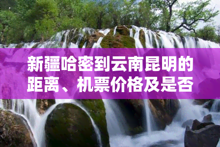 新疆哈密到云南昆明的距离、机票价格及是否需要隔离全攻略