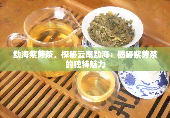 勐海紫芽茶，探秘云南勐海：揭秘紫芽茶的独特魅力