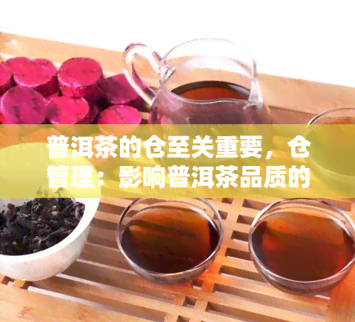 普洱茶的仓至关重要，仓管理：影响普洱茶品质的关键因素