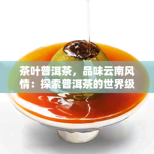 茶叶普洱茶，品味云南风情：探索普洱茶的世界级茶叶