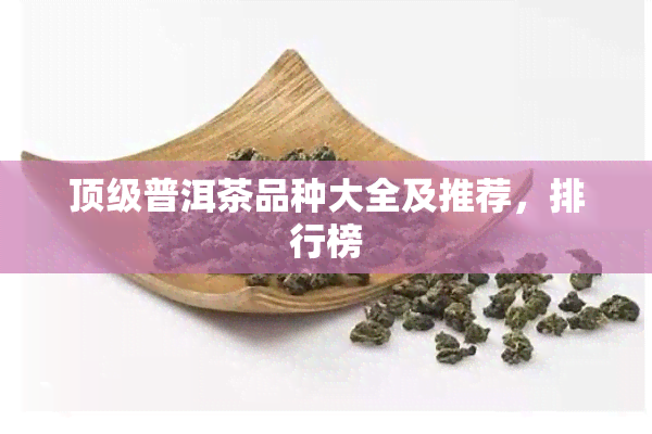 顶级普洱茶品种大全及推荐，排行榜