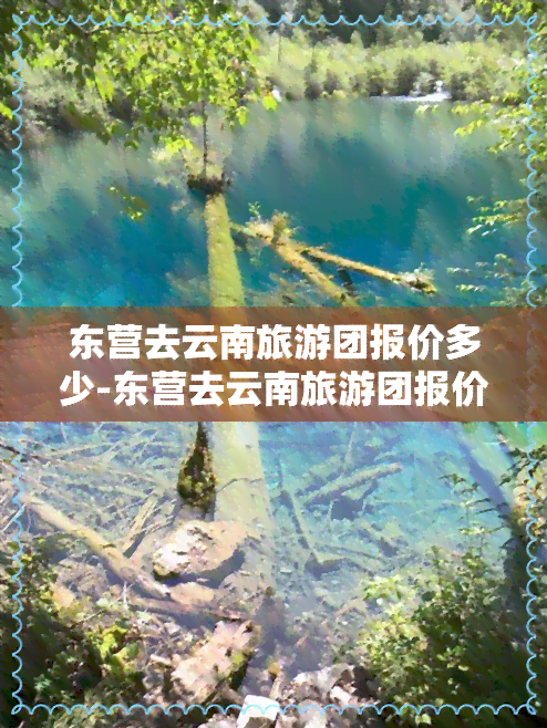 东营去云南旅游团报价多少-东营去云南旅游团报价多少钱