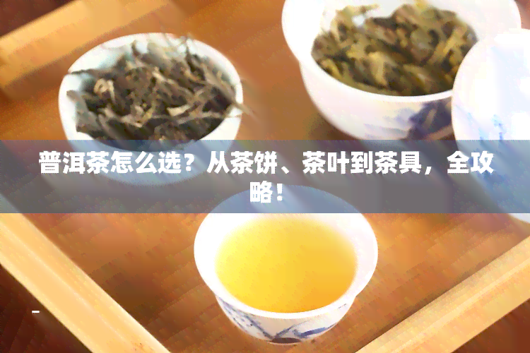 普洱茶怎么选？从茶饼、茶叶到茶具，全攻略！