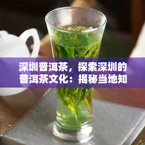 深圳普洱茶，探索深圳的普洱茶文化：揭秘当地知名茶叶