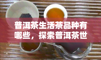 普洱茶生活茶品种有哪些，探索普洱茶世界：生活茶品种大盘点