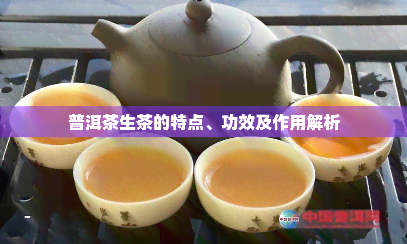 普洱茶生茶的特点、功效及作用解析