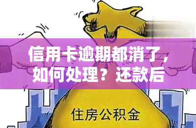 信用卡逾期都消了，如何处理？还款后有何影响？能否继续使用？