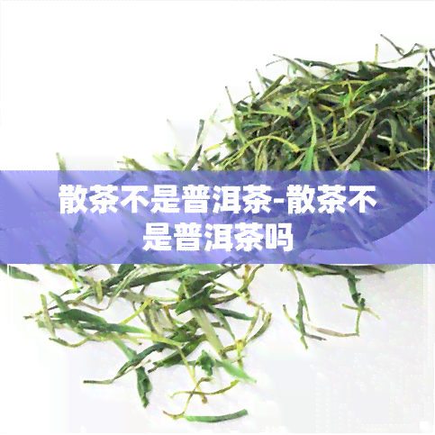 散茶不是普洱茶-散茶不是普洱茶吗