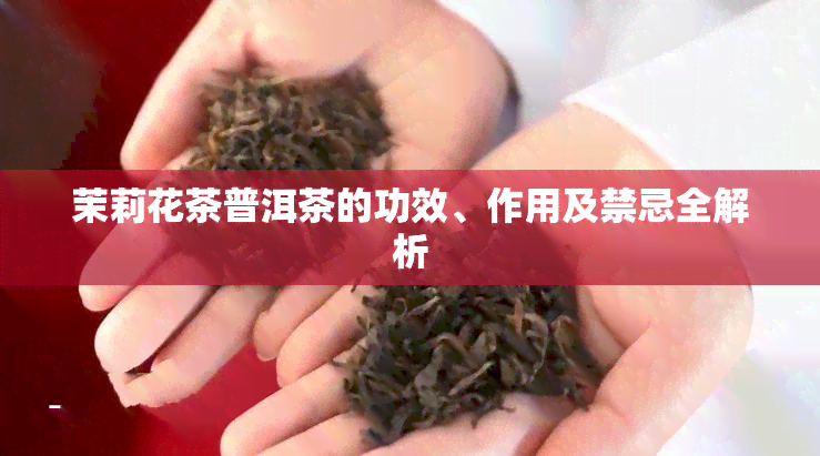 茉莉花茶普洱茶的功效、作用及禁忌全解析